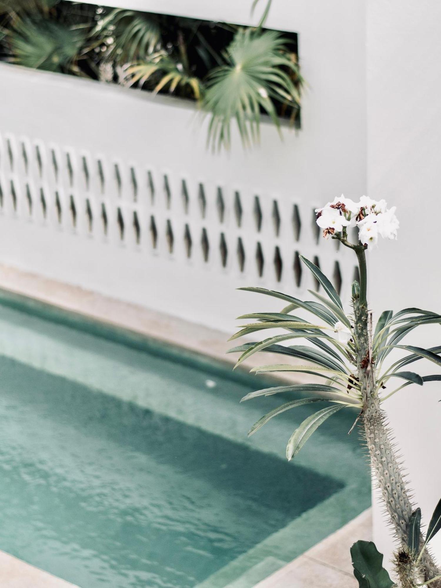 Hotel Residencia Tropical Don Bonito Sayulita Exteriér fotografie